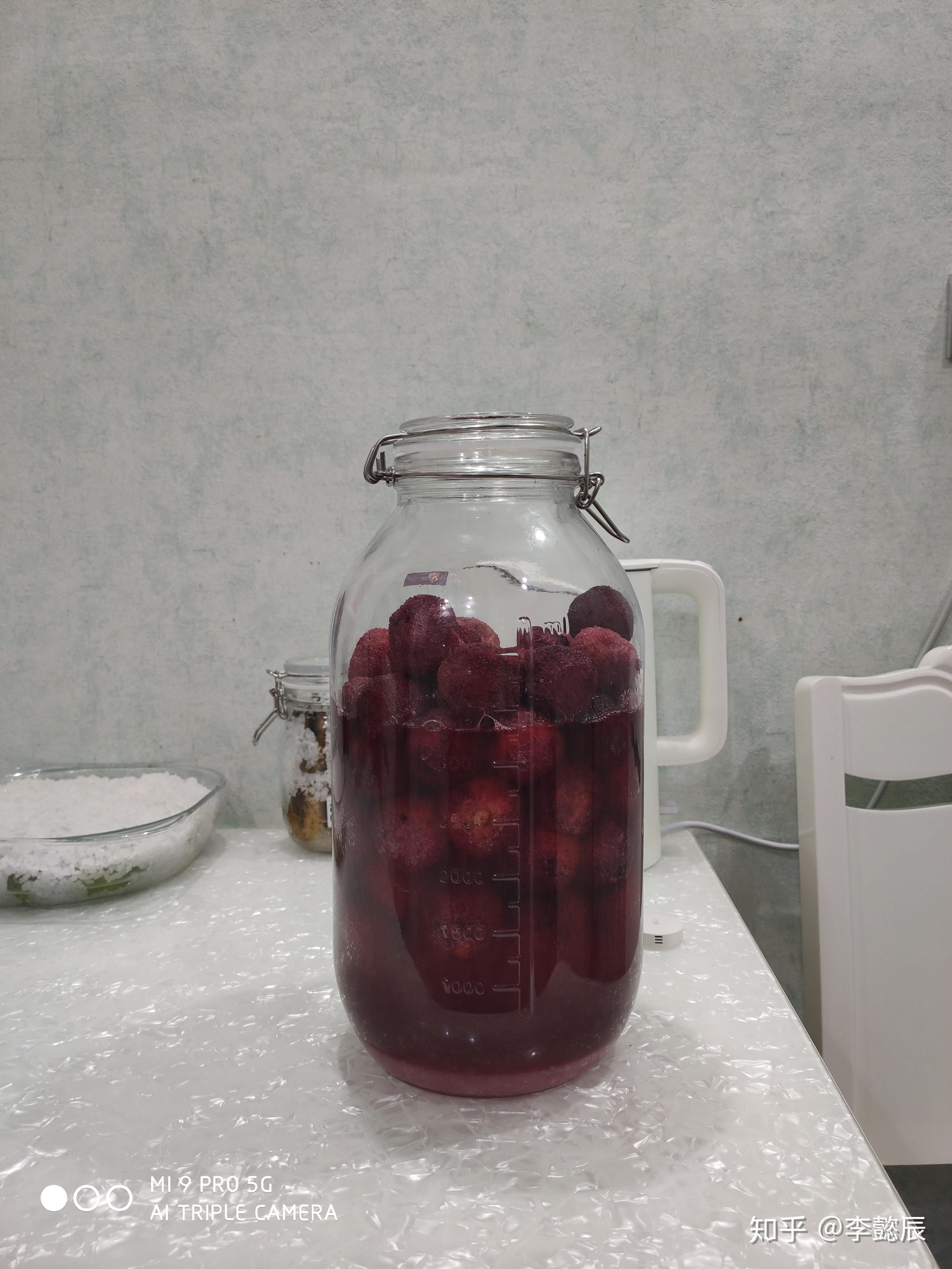 自酿杨梅酒(过程全记录) - 知乎