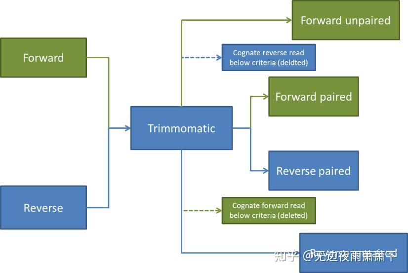 RNAseq数据分析 06：数据过滤trimmomatic 知乎
