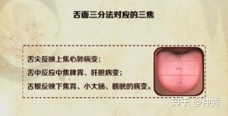 中医舌诊详解大全(独家讲义) - 知乎