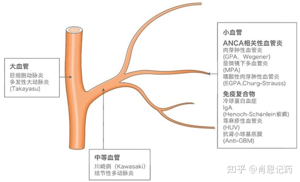 FDA CD20 B fda cd20 b