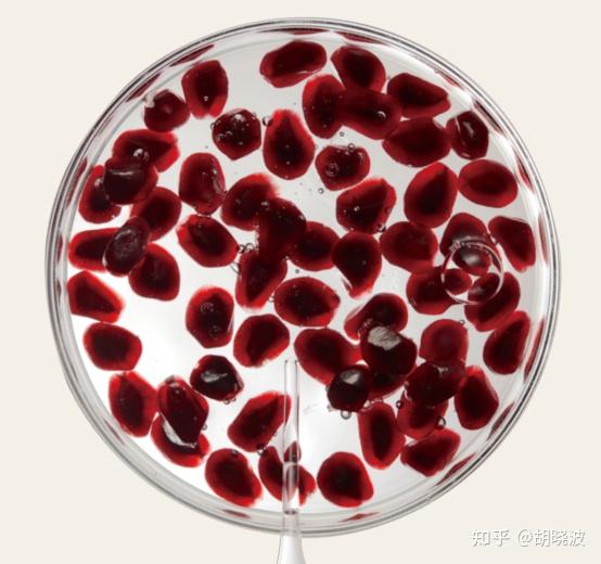 28天毛孔消失术！抗老黑科技让垮脸逆袭！ - 知乎