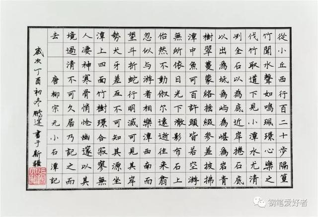 每周一篇钢笔字柳宗元小石潭记手写钢笔字笔友习作欣赏