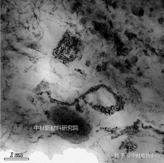 带你了解透射电镜(TEM)制样方面基础知识 - 知乎