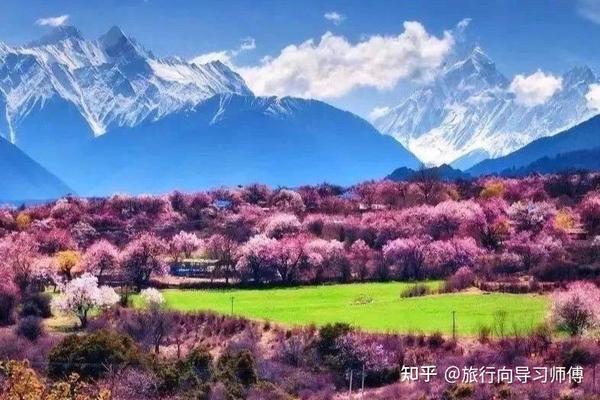 西藏林芝拥有“中国最美的春天”，你去过几