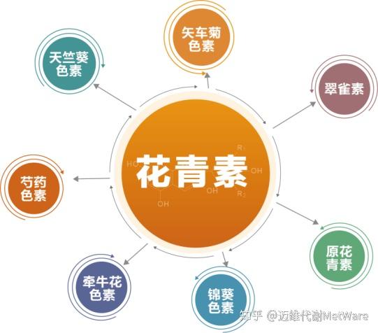 看花青素合成8大基因 领取最新11篇文献礼包 知乎