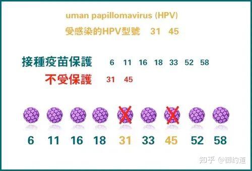 【收藏】 你想知道的九价HPV疫苗知识,全都在这篇! - 知乎