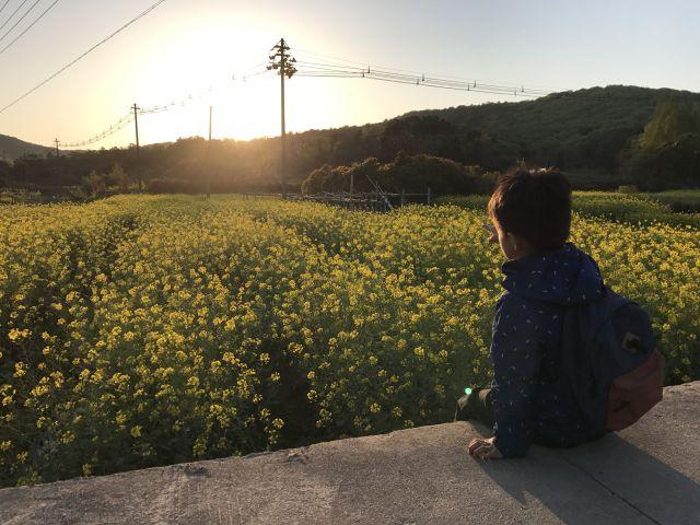 如何评价电影《头号玩家》(Ready Player One