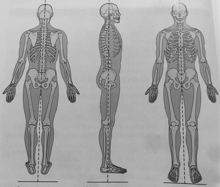 体态评估 - 知乎