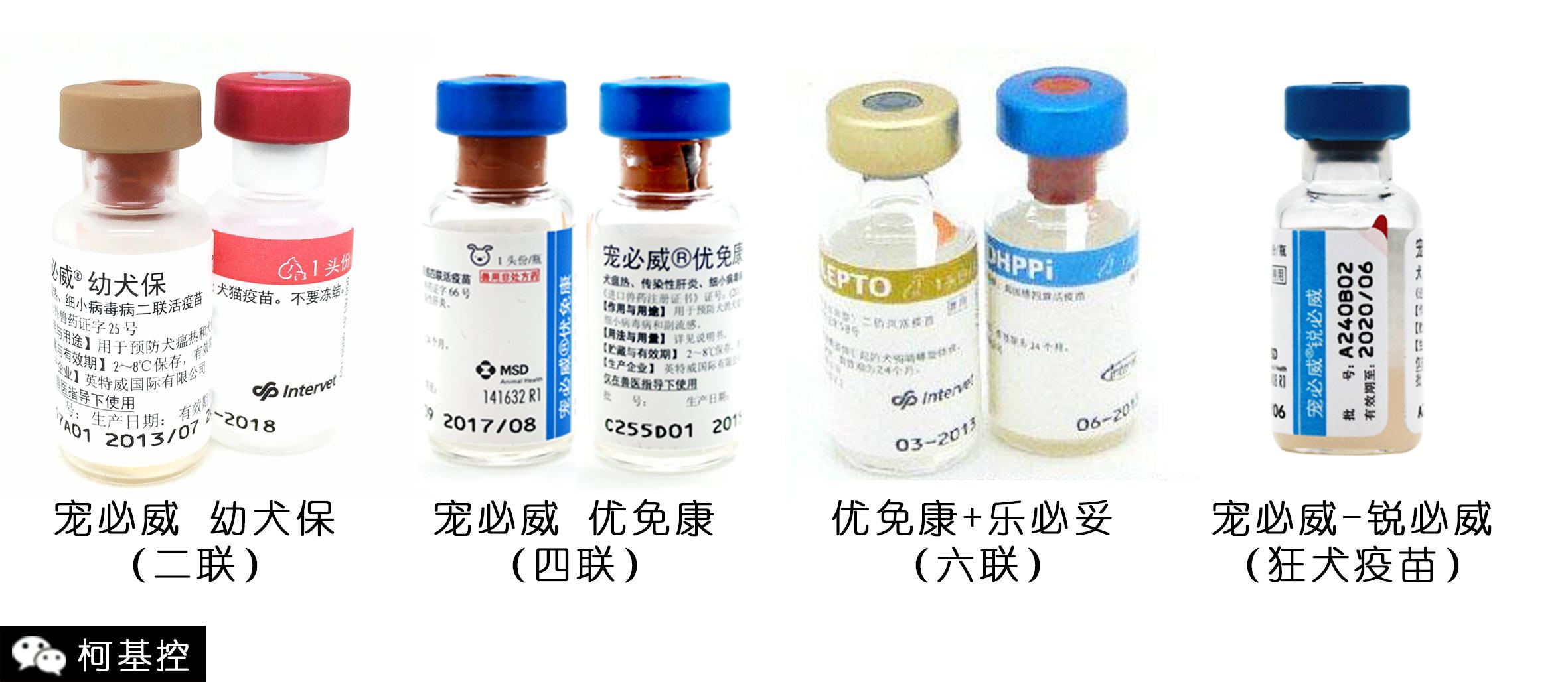 犬瘟热病毒荧光PCR检测试剂盒-苏州华胜生物技术有限公司
