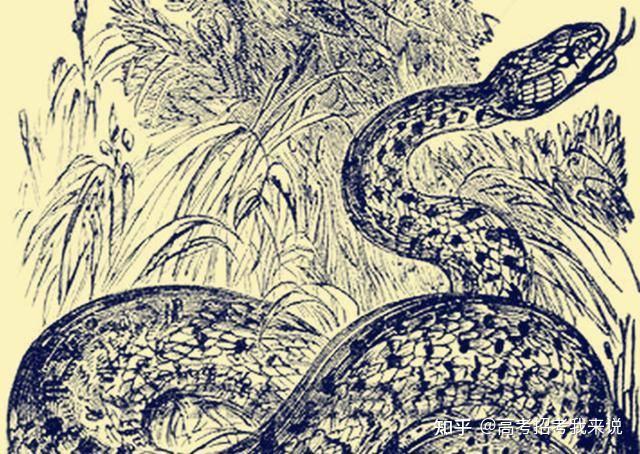 民间故事:九尾蛇