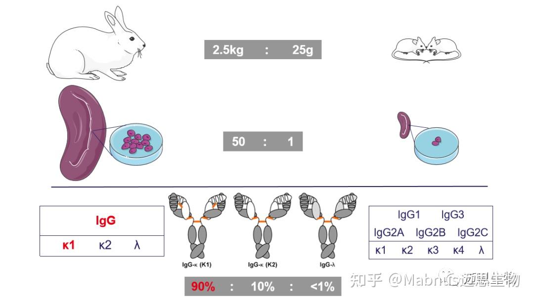 生物技术研发：站在未来科技的风口