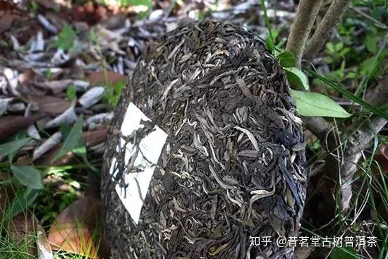 【茶工艺】普洱茶的好滋味都是“揉捻”出来的! - 知乎