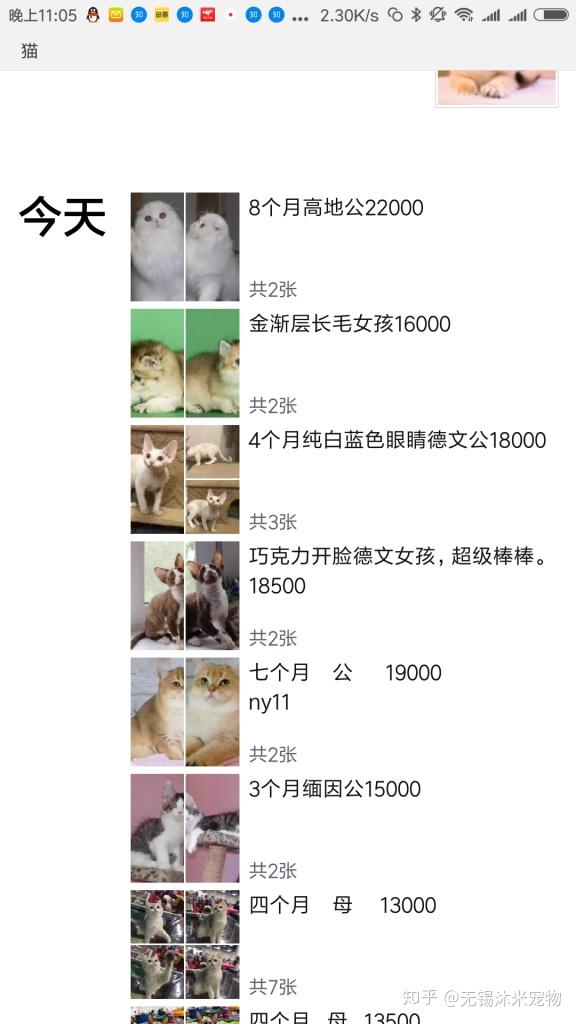 v2-00a8e63d582fbf0944cdeaf67036e537_r.jpg