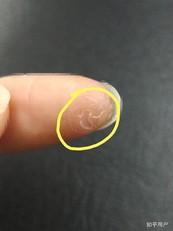 会弹古筝是怎样一种体验?