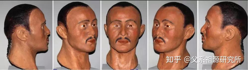 颅骨在体质人类学上属于高加索-蒙古混合人种特征.