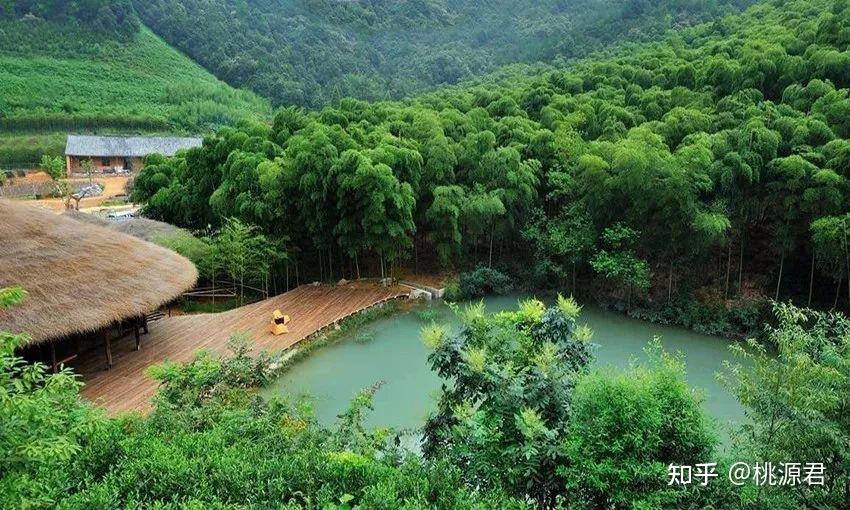 莫干山仙潭村景区图片