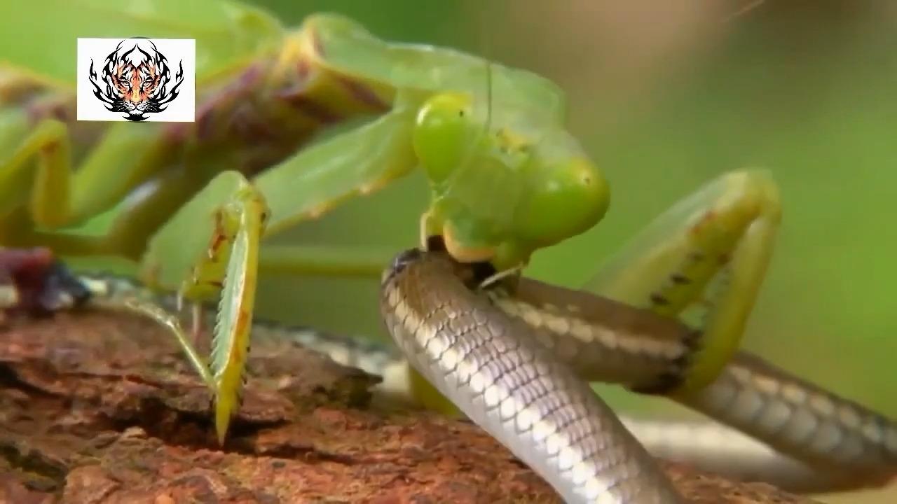 霍格沃茨河北分校一日游