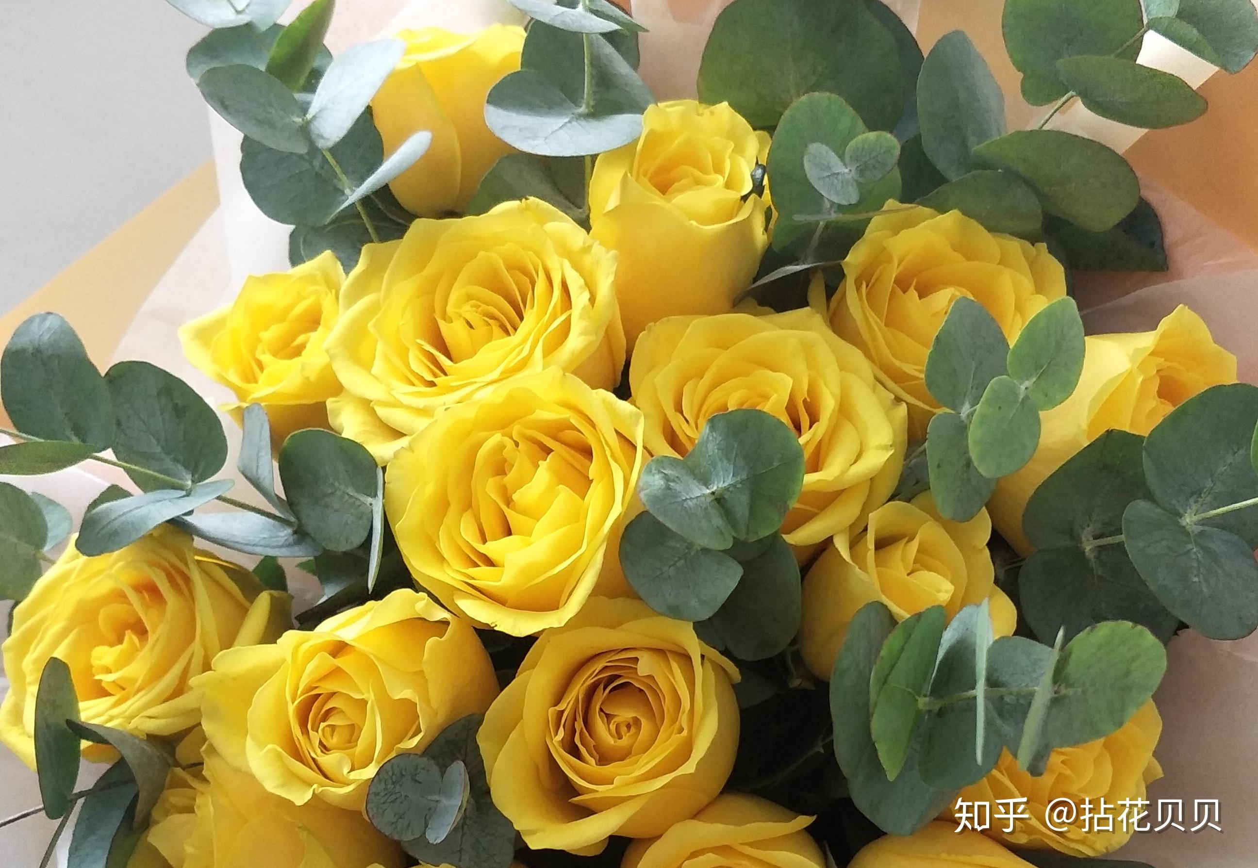 认识花材这8款黄玫瑰品种你都见过吗