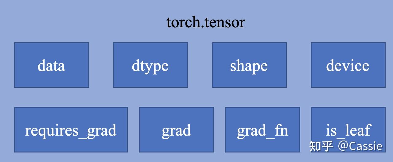 吃透tensor.data/tensor.clone()/tensor.detach()/tensor.detach_() 知乎