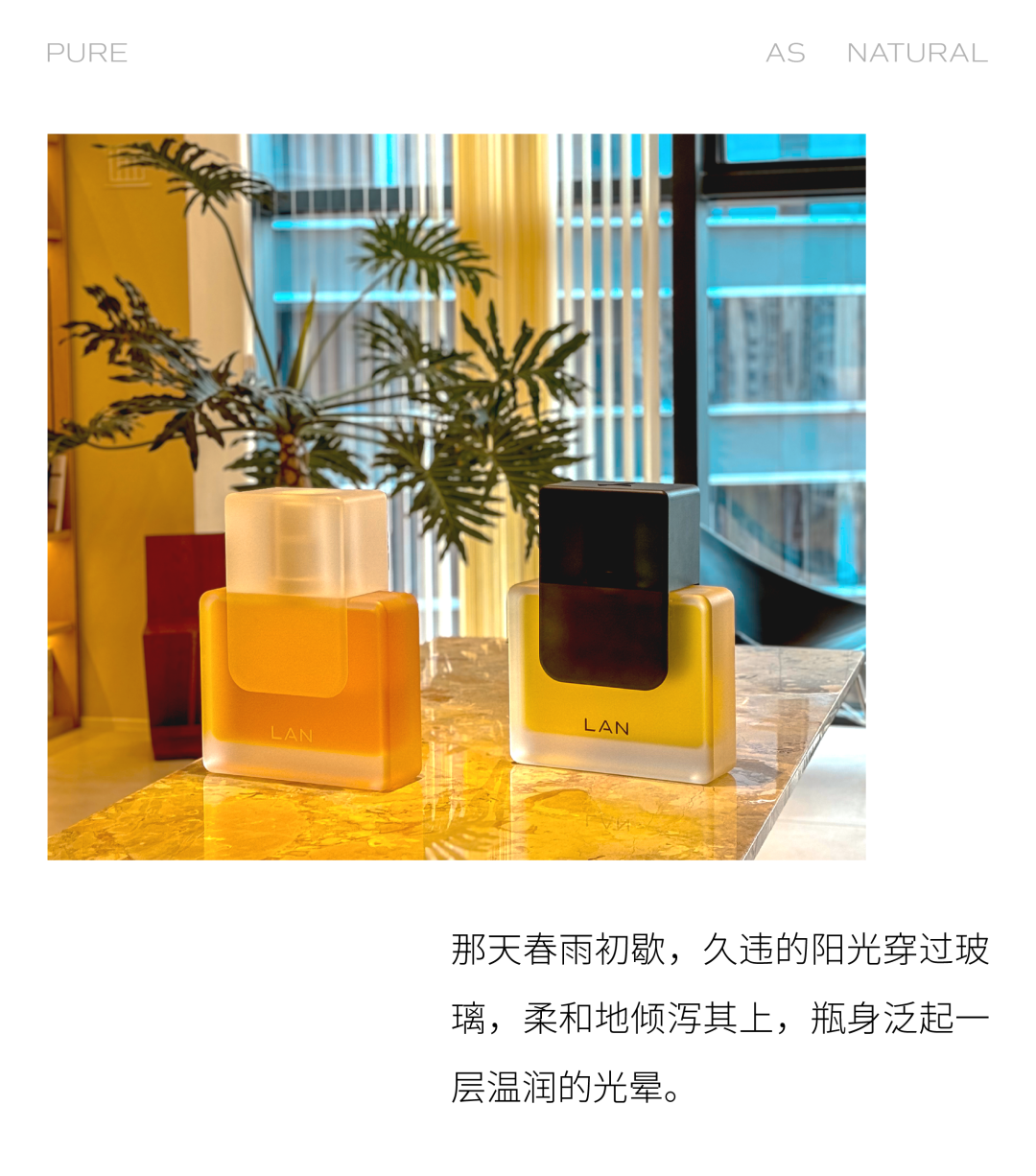 时间开出的花｜「LAN兰」与它寂静深耕的六载 - 知乎