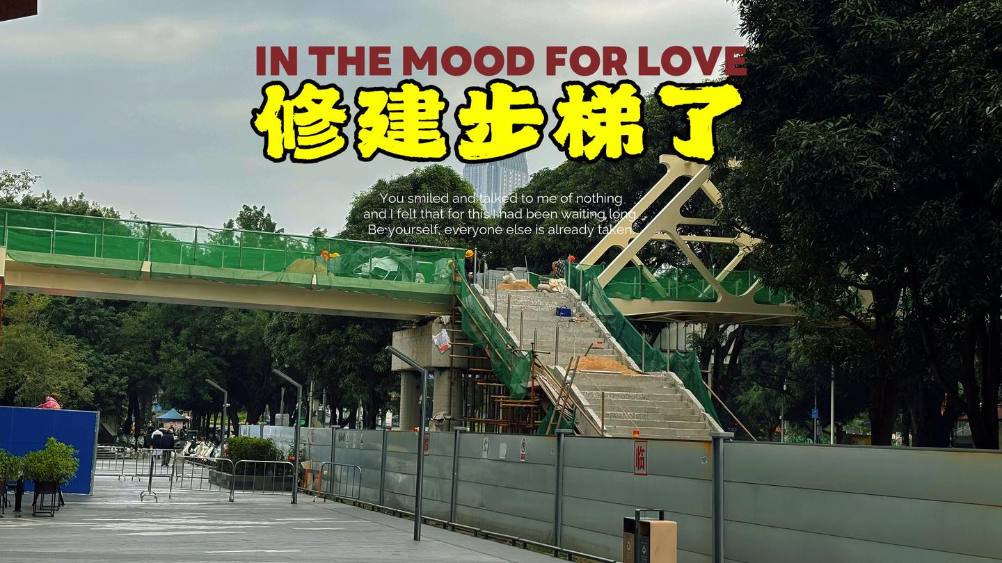 广西南宁,星光大道这座人行天桥装上步梯了,真的令人羡慕啊…… - 知乎