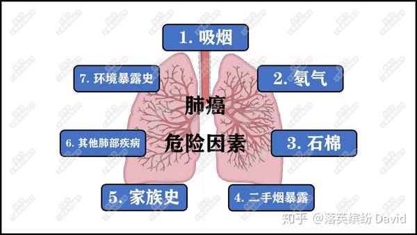 长在你身上的肺结节到底代表了什么