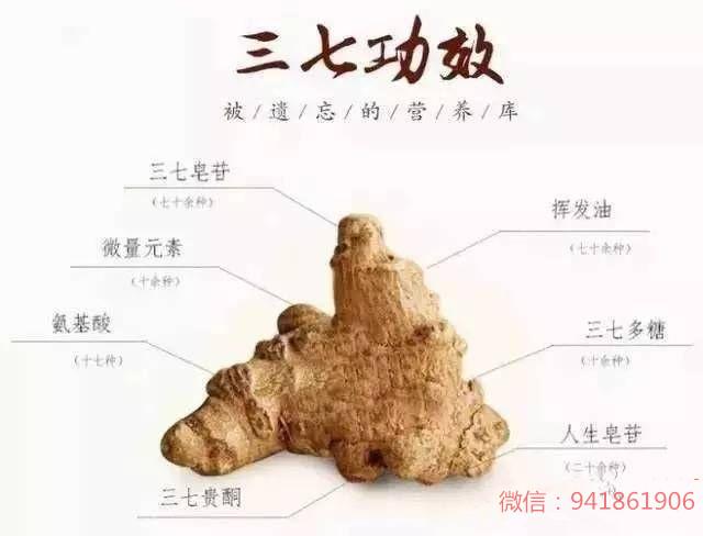 三七为何既能活血又能化瘀 止血又能活血 这不是很矛盾吗？————三七成分功效大解读 - 知乎