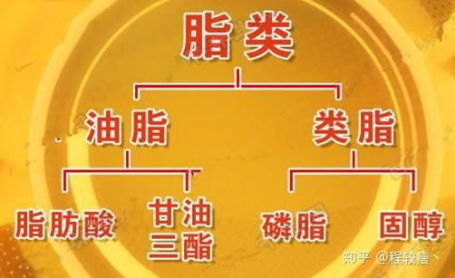 人体七大营养素脂类