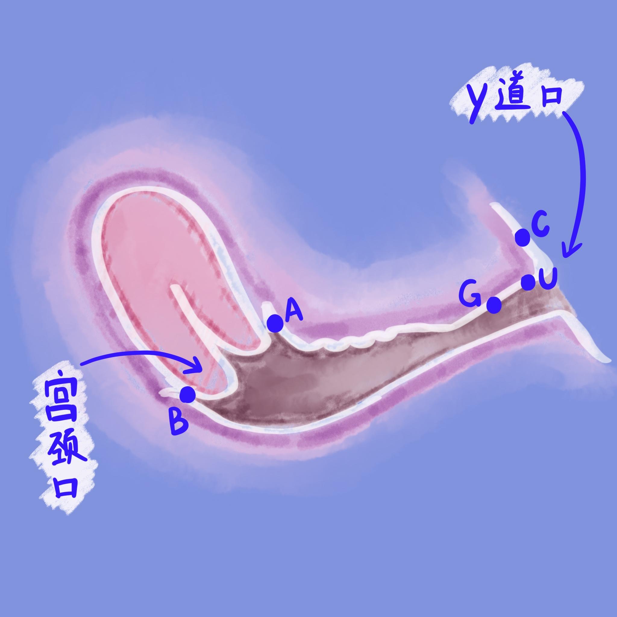 got情趣研究社嘀嘀叭叭新手指南下篇