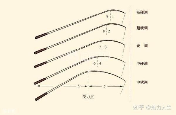 鱼竿调性中先调 本调 胴调是什么意思 知乎