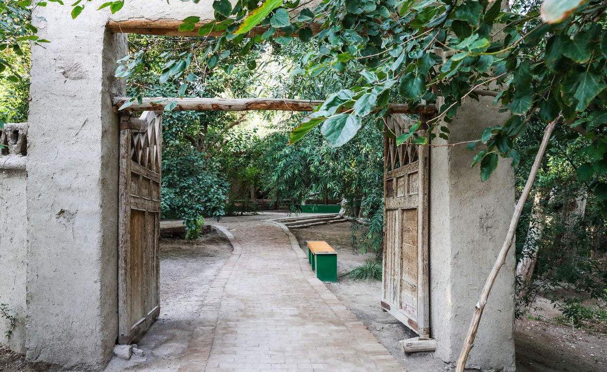 为什么中国的农村不是像电影里那样的田园净土