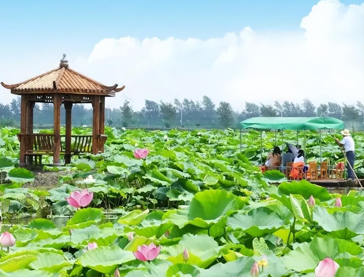 景德鎮市昌江區荷塘鄉童坊村紅色旅遊基礎設施項目可行性分析報告