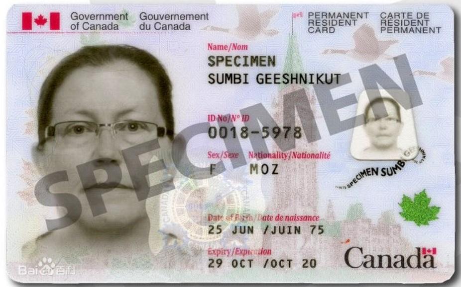 聊聊加拿大枫叶卡那些事