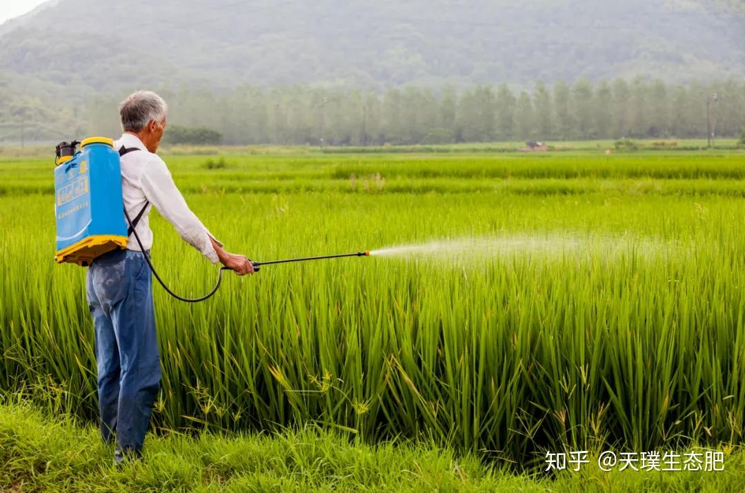 中央发文啦化肥要限制使用了