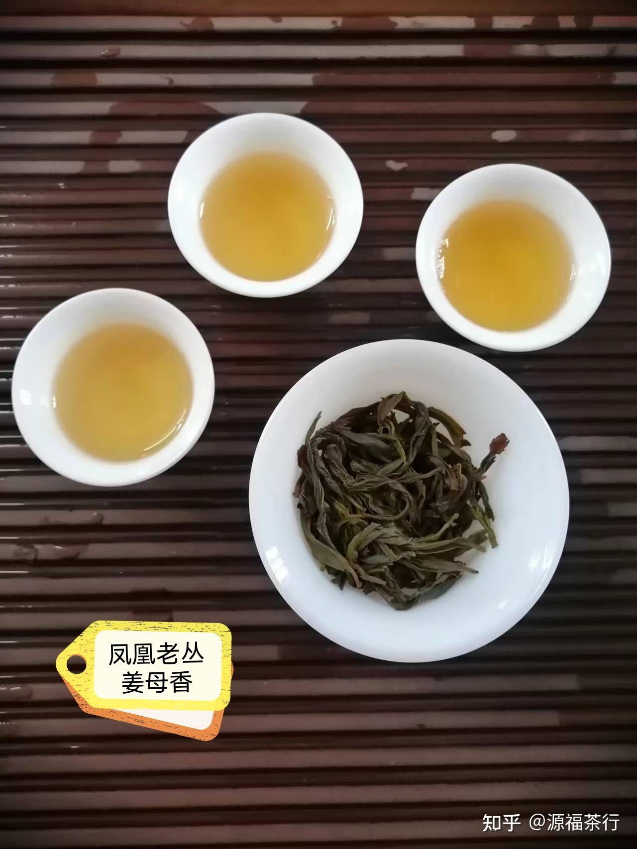 凤凰姜母香单丛茶