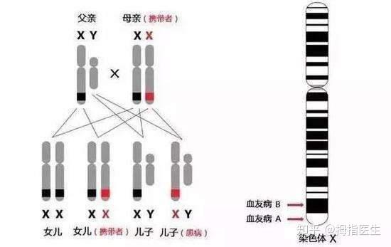 公司新闻 关于甲型血友病停止接样的通知