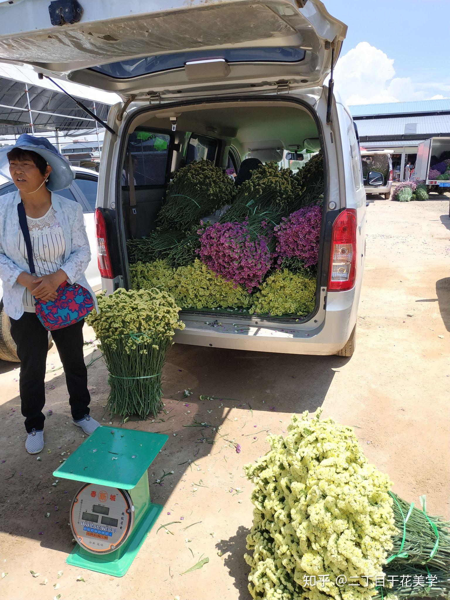 斗南这边呢,有专门的勿忘我交易区,不过非常简陋,下午1点多会开市,据