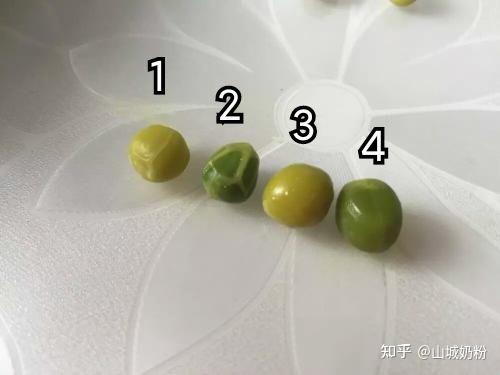 孟德尔和他的豌豆
