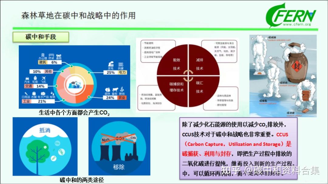 100页森林碳汇PPT,目前为止最详细分析! - 知乎