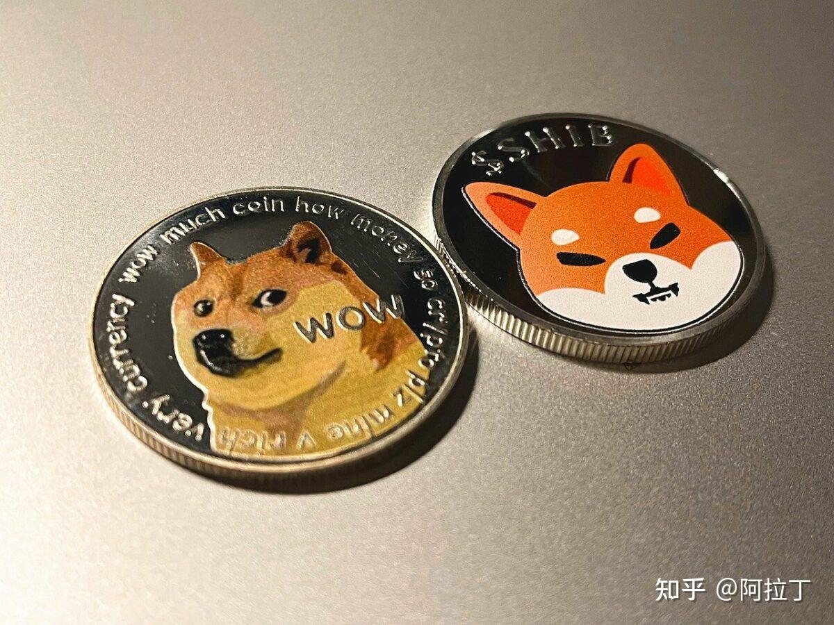 狗狗币在马斯克催化剂的支持下能走多远doge成为推特指定币