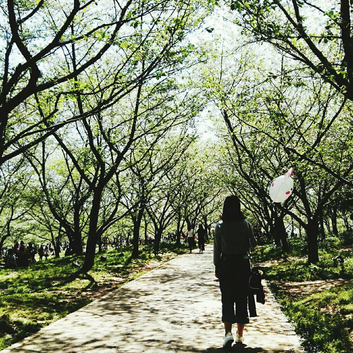 你用过最好的修图软件有哪些?