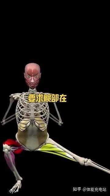 久坐提升运动表现必练,侧弓步 - 知乎