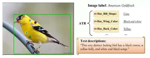 超全深度学习细粒度图像分析：项目、综述、教程一网打尽 - 知乎