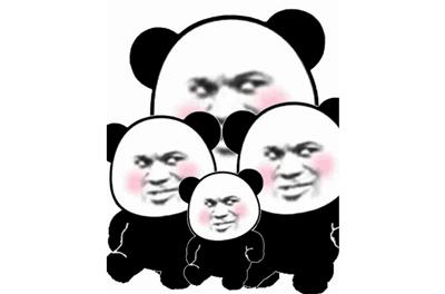 超大霸屏表情包熊猫gif动图下载,以及代码分享