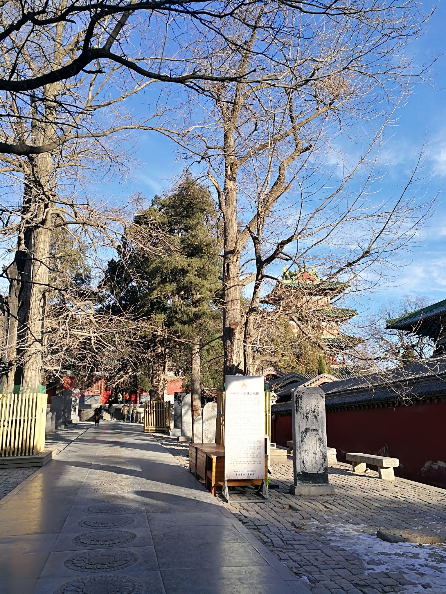 河南值得去旅游的地方都有哪里?