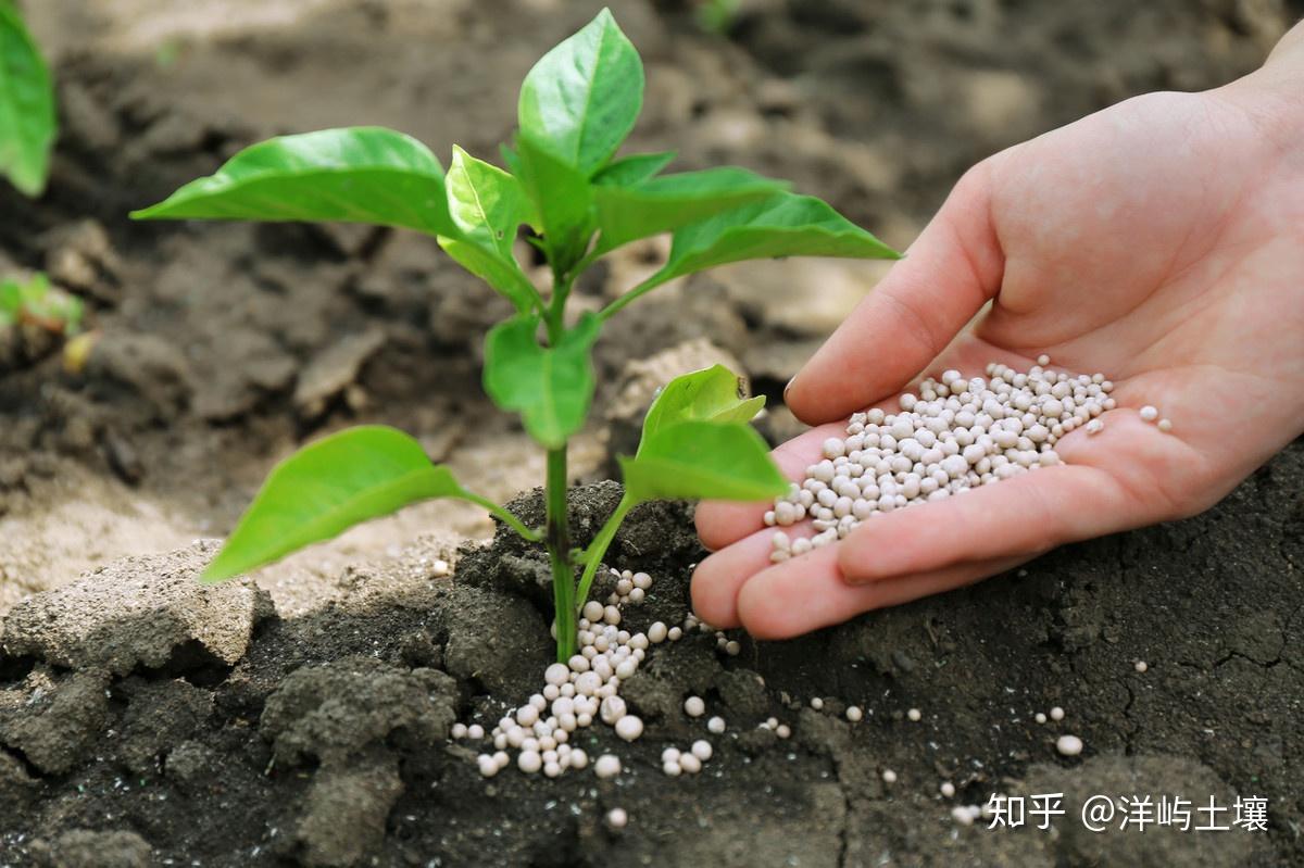 不同类型的土壤特点解析如何因地制宜改良土壤