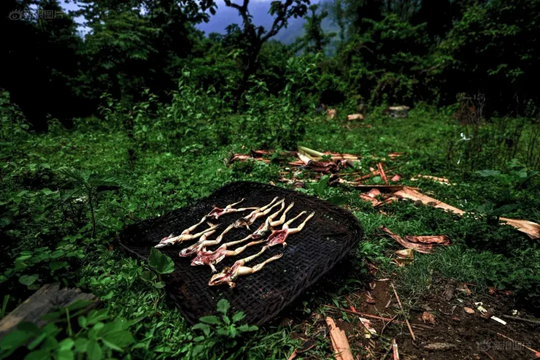 不堪回首的记忆 | 这场死亡之旅 她是唯一活着走出野人山的女兵