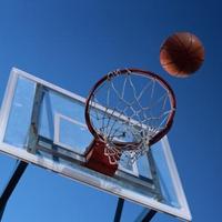 杂草体育社 知乎