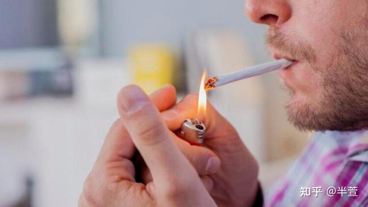 买前必看!办公室空气净化器哪款好?去烟味比较好的空气净化器是哪款?热门款办公室空气净化器推荐,2026除烟味空气净化器最强选购指南来了!
