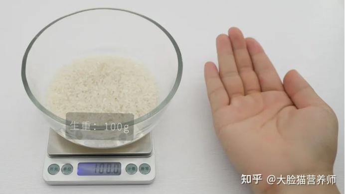 分享1套食物分量图，让你秒懂每天该吃多少食物 - 知乎